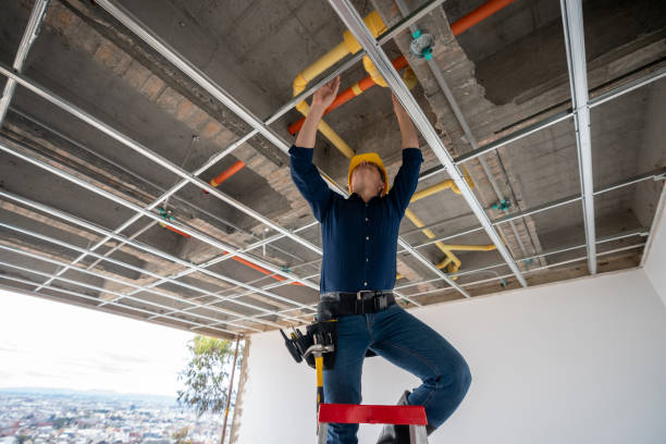 Best Emergency Plumber  in Brownsville, KY